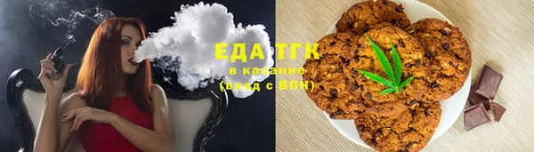 гашик Зеленокумск
