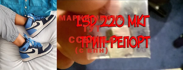 индика Зерноград