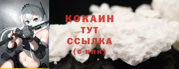 гашик Зеленокумск