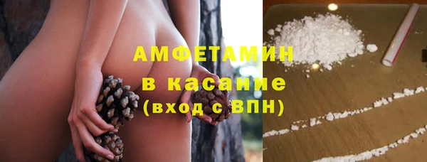индика Зерноград