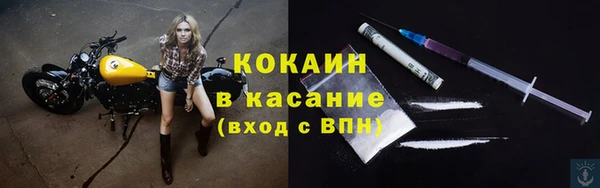 индика Зерноград