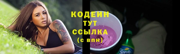 индика Зерноград