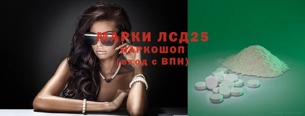 гашик Зеленокумск