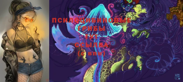 индика Зерноград