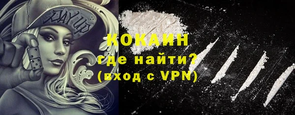 гашик Зеленокумск