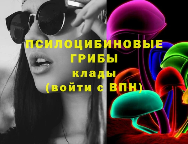 индика Зерноград