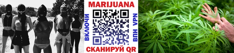 Купить где  Лиски  Каннабис семена 